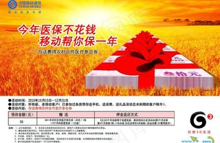 新农村医保单页图片