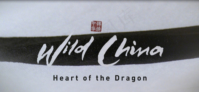 中华锦绣