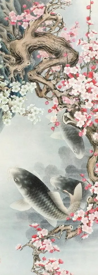 梅花鲤鱼图片