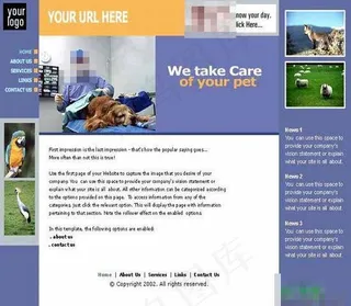 医院紫色色调模板