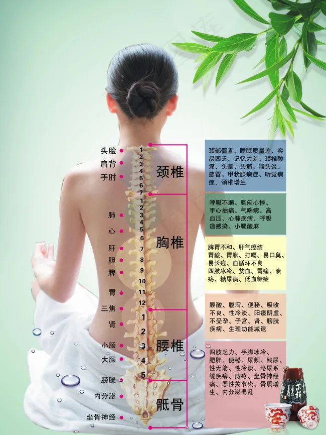 背部护理(3543X4724(DPI:150))psd模版下载