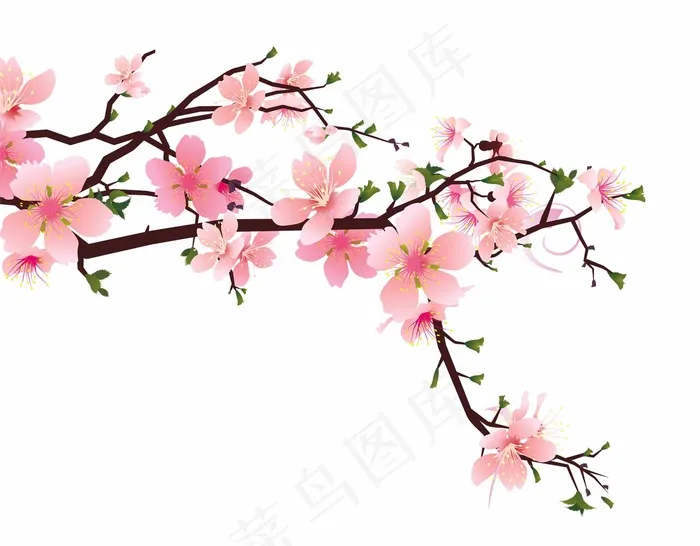 手绘卡通桃花装饰素材eps,ai矢量模版下载