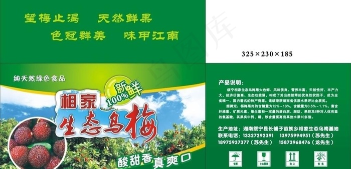 杨梅包装箱图片
