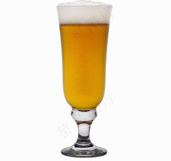 一杯啤酒图片 一杯啤酒图片