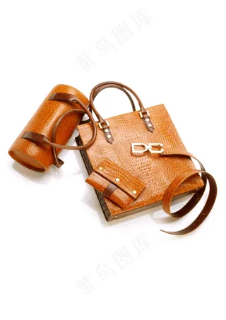 时尚奢华手袋配件图片