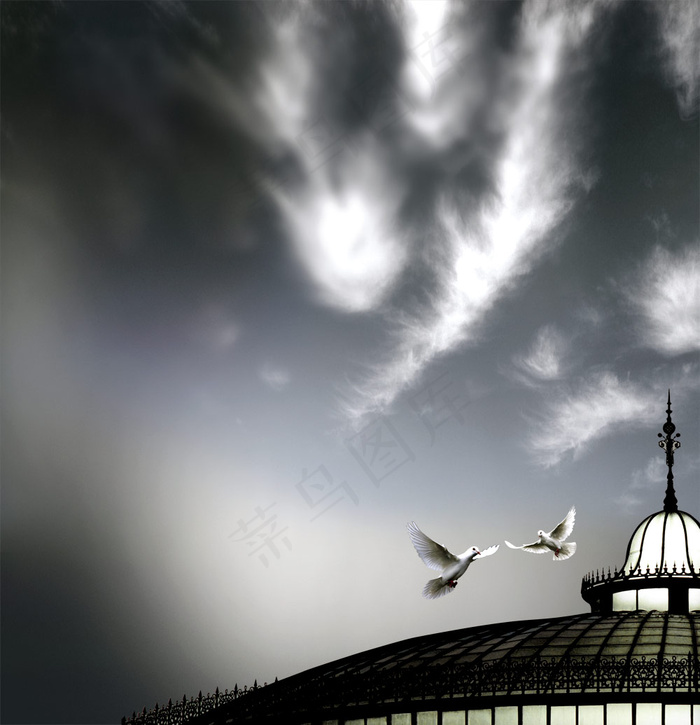 意境屋顶白鸽PSD设计素材