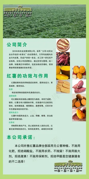 本来农庄宣传海报展板