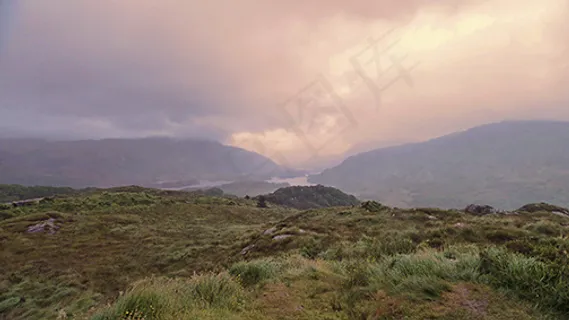 绿树 山 草 绿树 山 草
