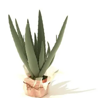 盆景植物3D模型、盆栽植物3D模型...