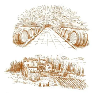 葡萄酒桶 红酒庄园图片