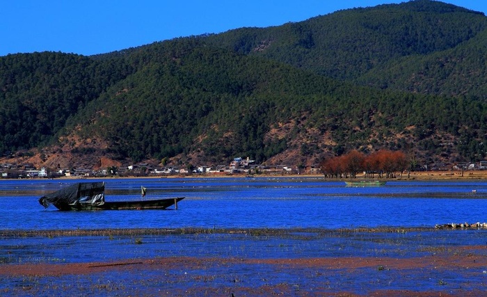 丽江拉市海景图片