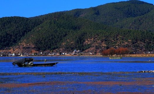 丽江拉市海景图片