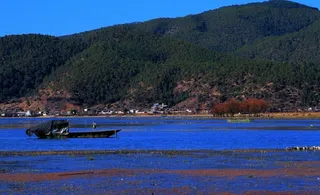 丽江拉市海景图片