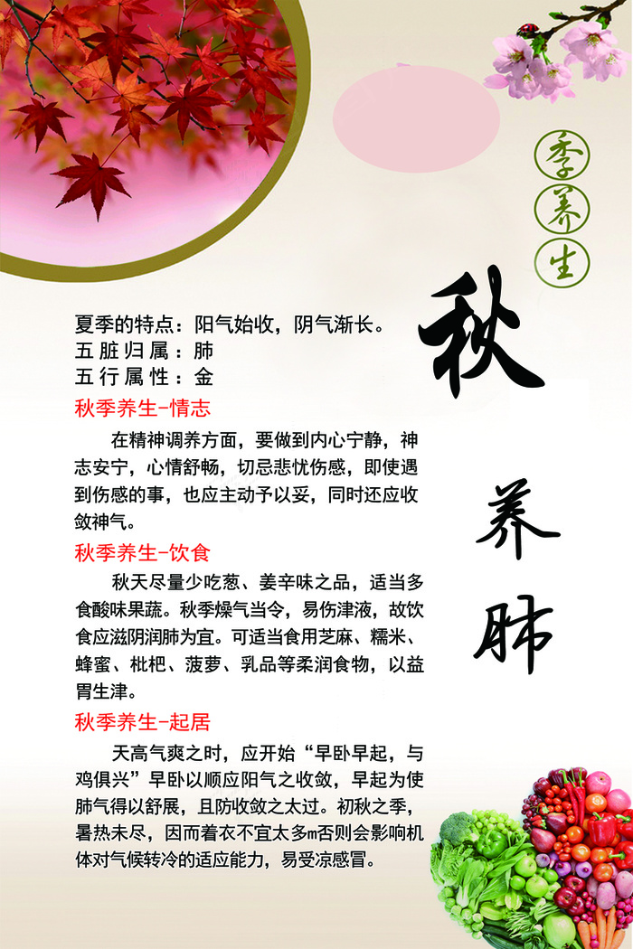 秋季养生psd模版下载