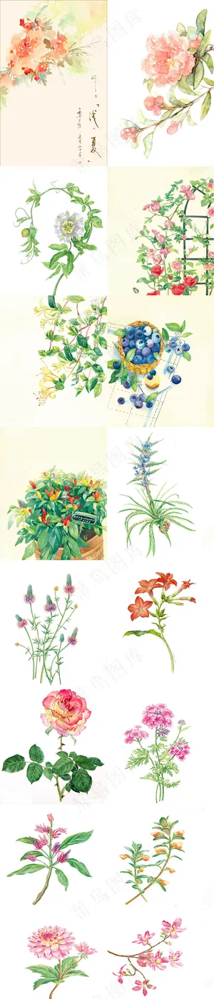 森系小清新手绘水彩花卉矢量设计素材