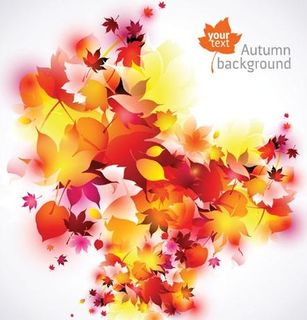 秋季红叶矢量背景素材