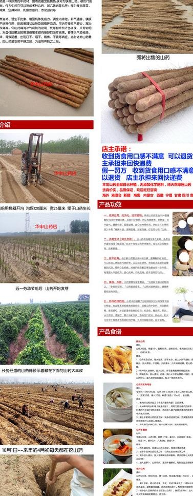 山药宝贝描述详情设计图片psd模版下载
