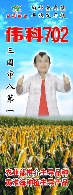 伟科种业 伟科种业