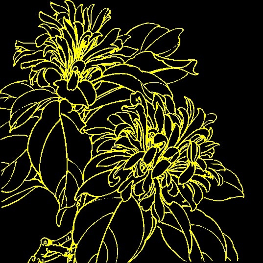 白描花卉 矢量CDR_11