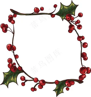 槲寄生的框架向量