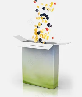 食品包装 食品包装