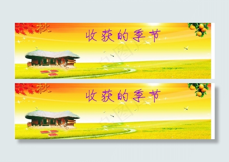 秋意渐浓 成熟与收获的喜悦图片