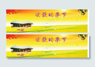 秋意渐浓 成熟与收获的喜悦图片