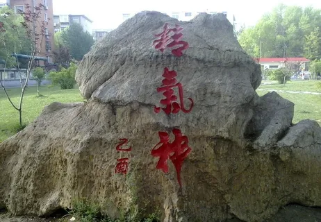 天津中医药大学图片 天津中医药大学图片