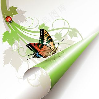 花蝴蝶与绿卷叶矢量图片