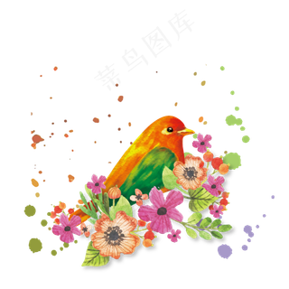 手绘鸟水彩鸟彩色鸟透明免抠png