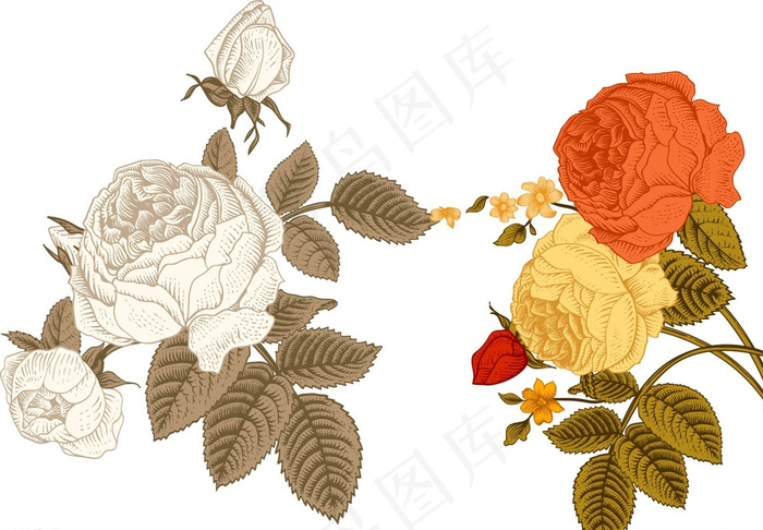 欧式鲜花花朵图片