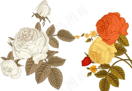 欧式鲜花花朵图片