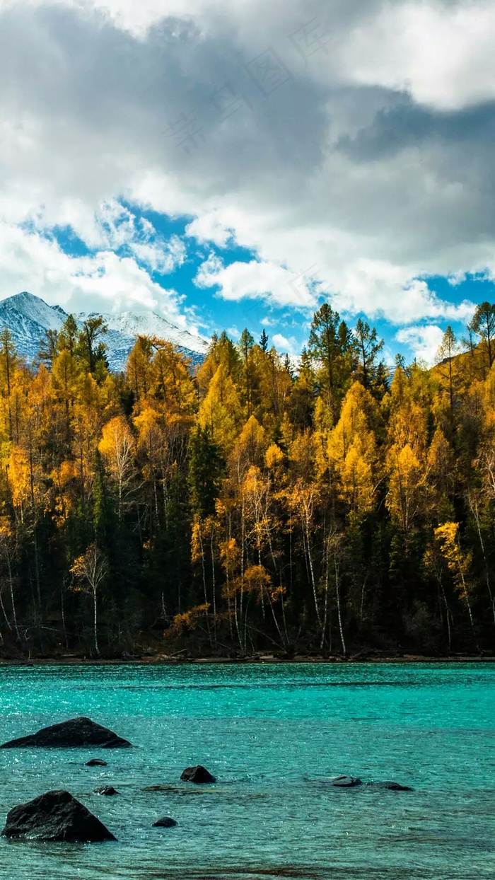 丛林河道高清摄影图片
