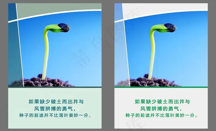 校园文化图片cdr矢量模版下载