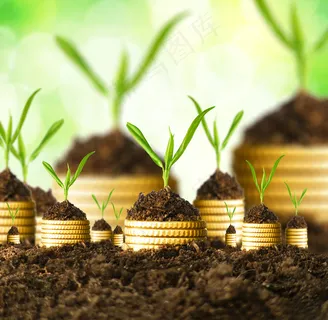 金币嫩芽小树苗孵化培育理财商务金融财富主题素材