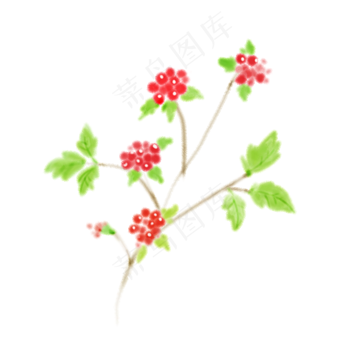 手绘水彩植物草花卉(1000X1000)