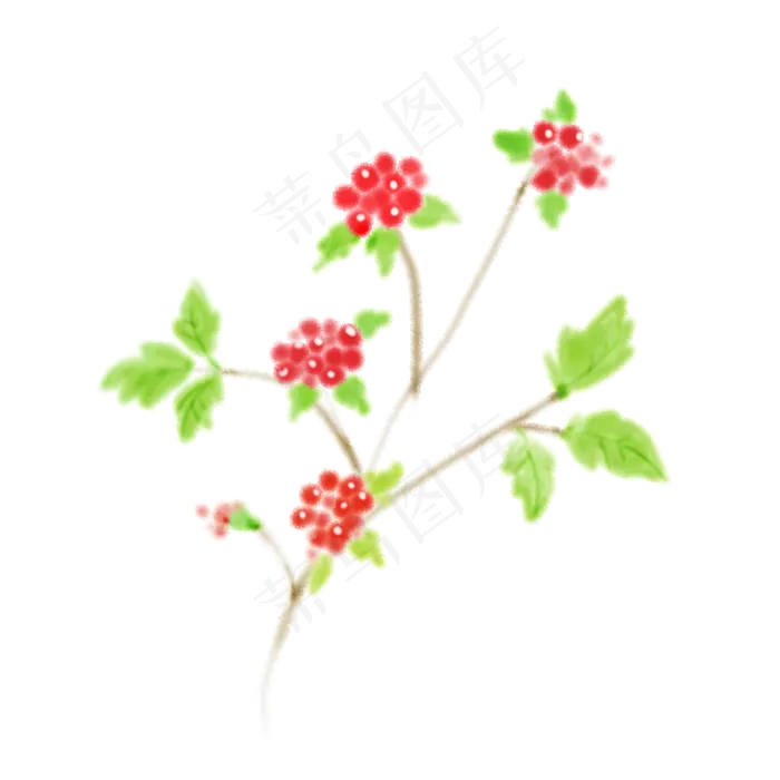 手绘水彩植物草花卉(1000X1000)