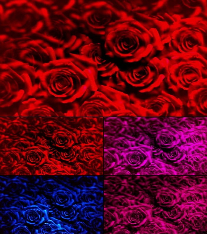 大气晚会开场花海视频