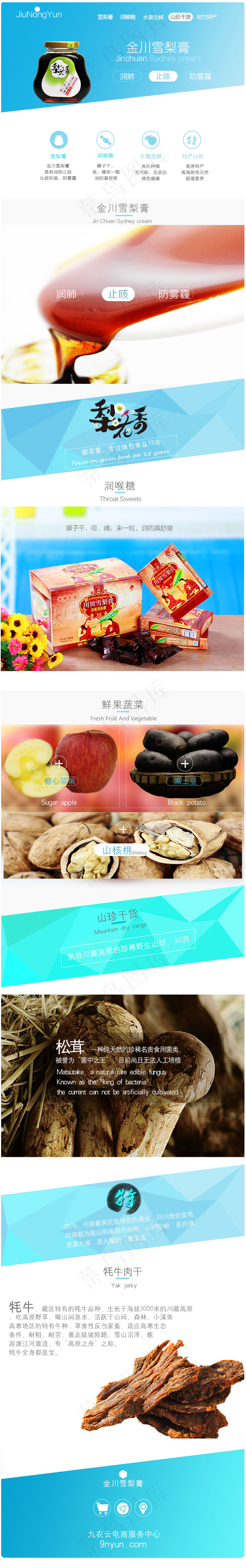 九农云雪梨膏 手机端淘宝首页