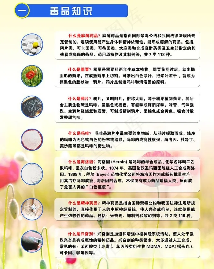 毒品知识宣传图片psd模版下载