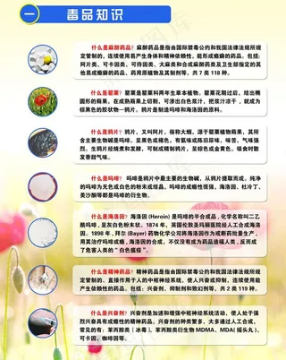 毒品知识宣传图片
