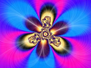 色彩艳丽的花纹