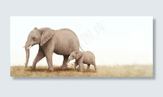 草原上的大象