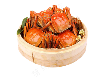 螃蟹河蟹香辣蟹免扣PNG素材