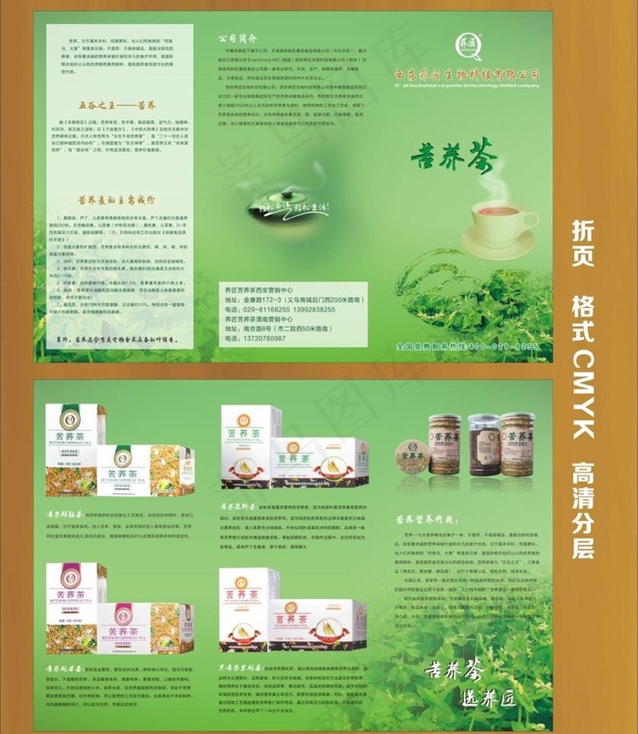 苦荞茶折页图片(420X285)cdr矢量模版下载