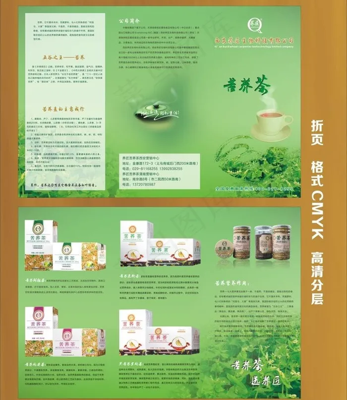 苦荞茶折页图片