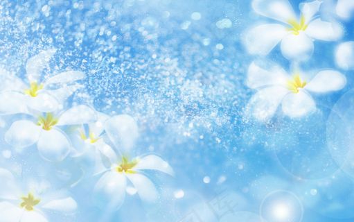 蓝色淡雅花朵背景图