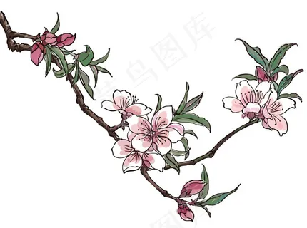 矢量桃花