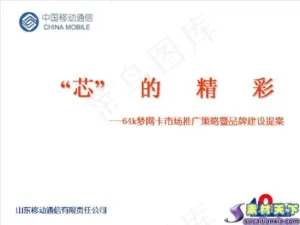 市场推广策略暨品牌建设提案PPT模...预览图