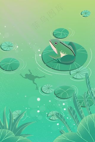 夏天池塘荷叶青蛙